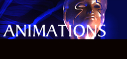 View animations